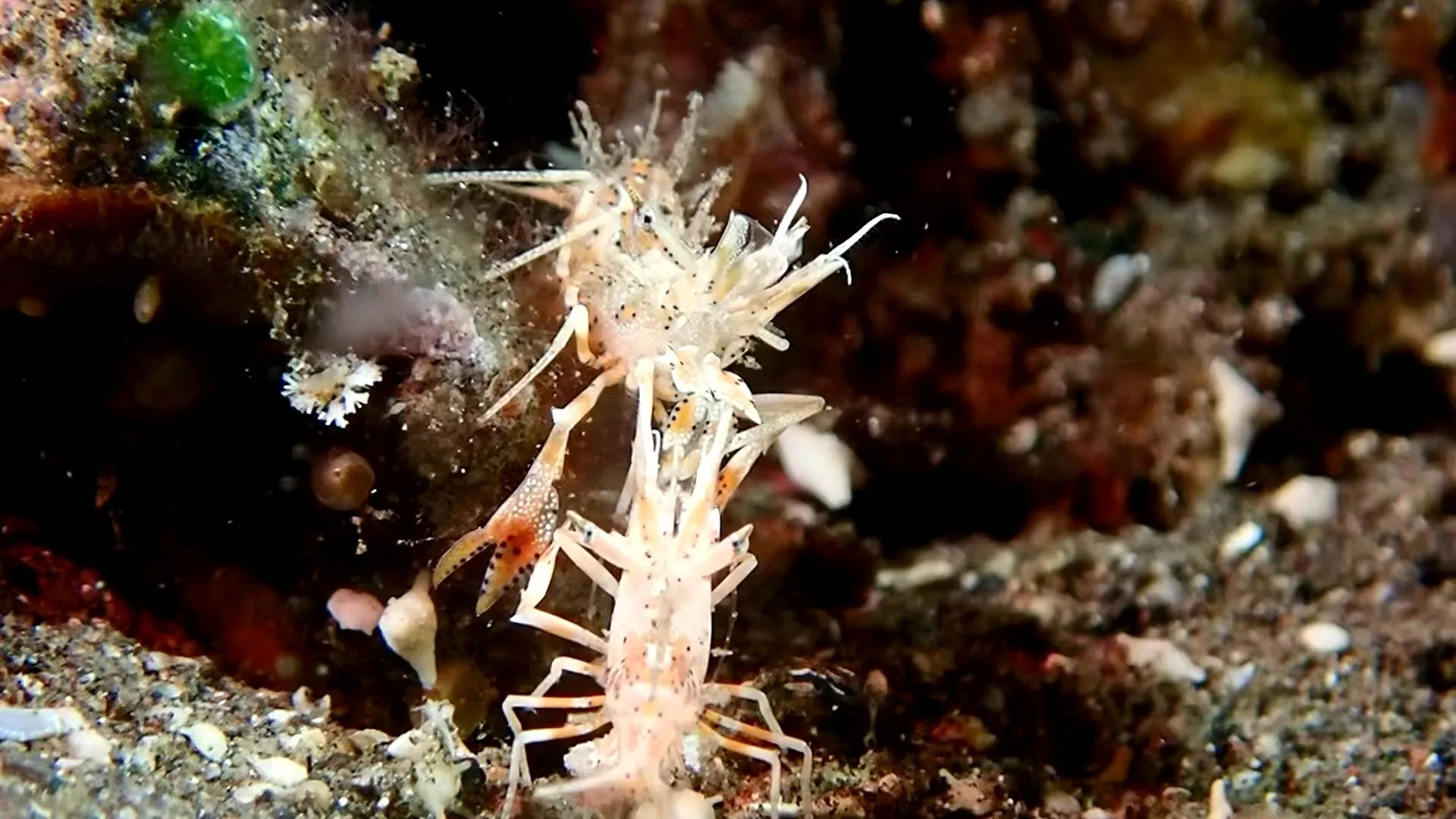 Dive site photo 3