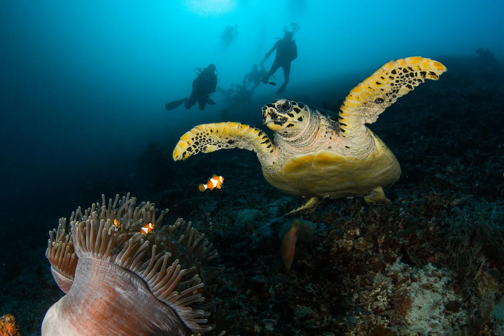 Dive site photo 3