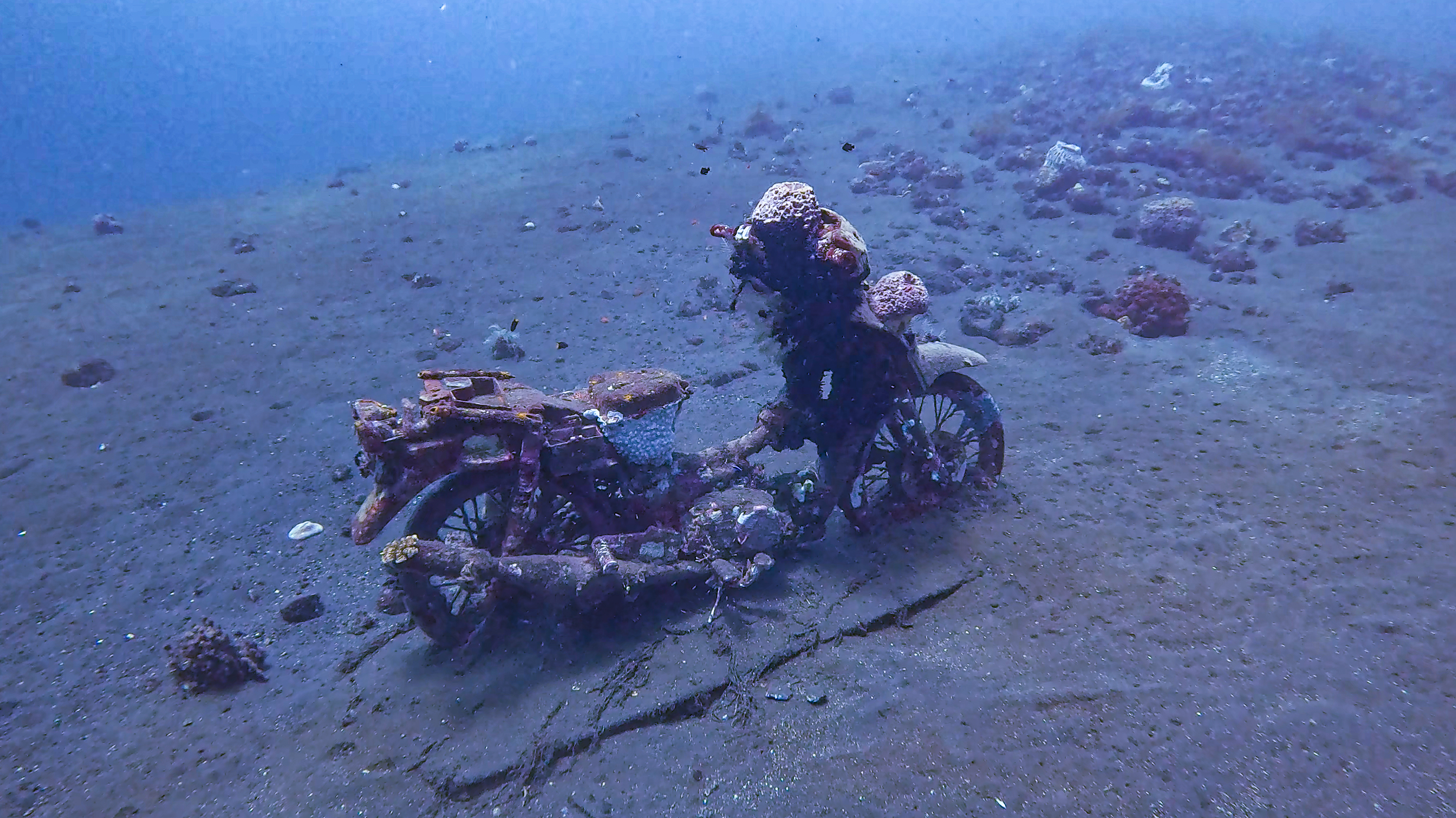 Dive site photo 2