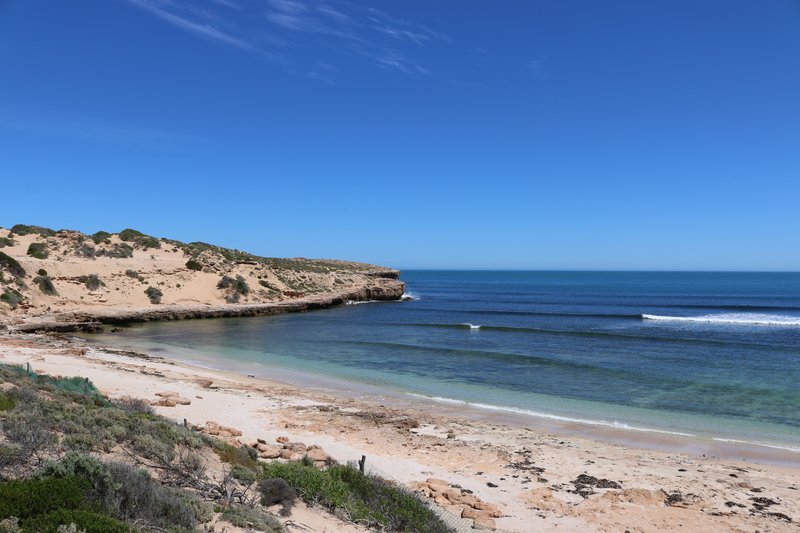 Cactus Beach