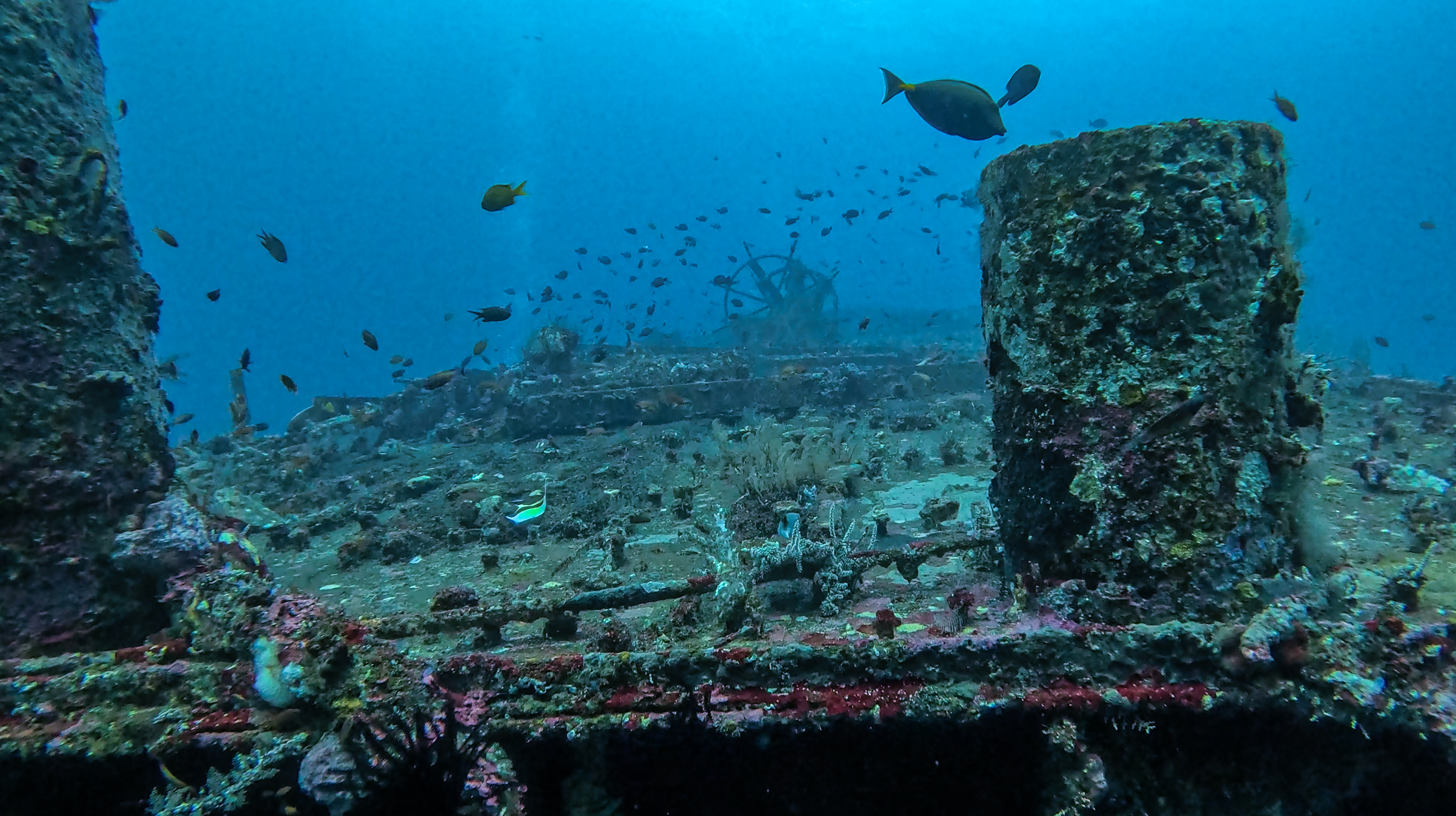 Boga Wreck