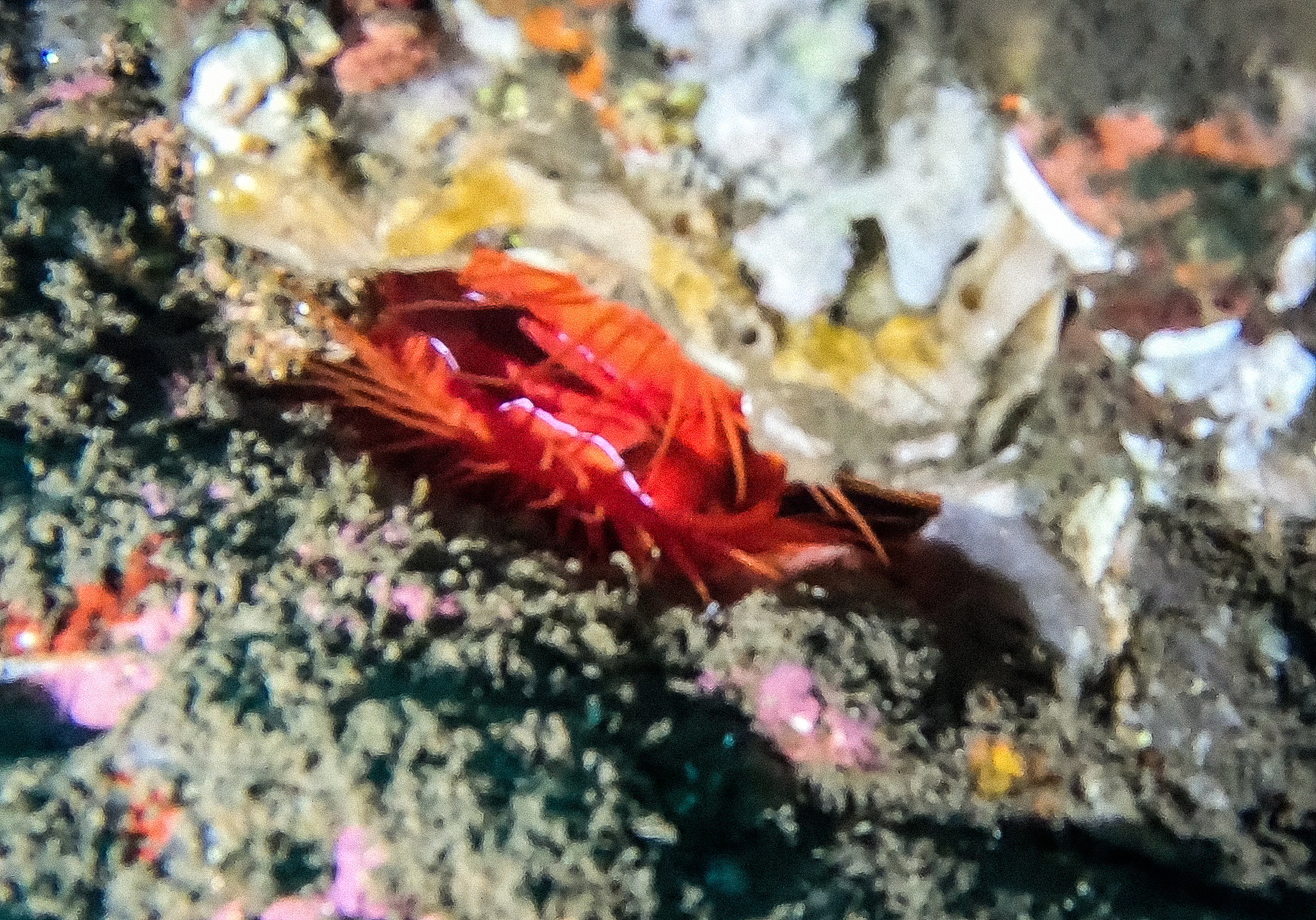 Dive site photo 1