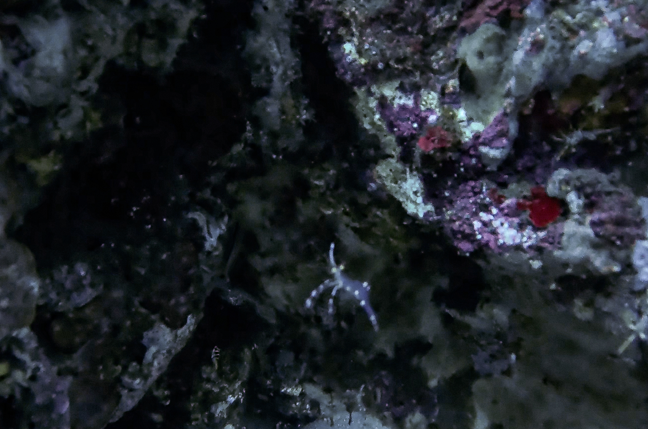 Dive site photo 2