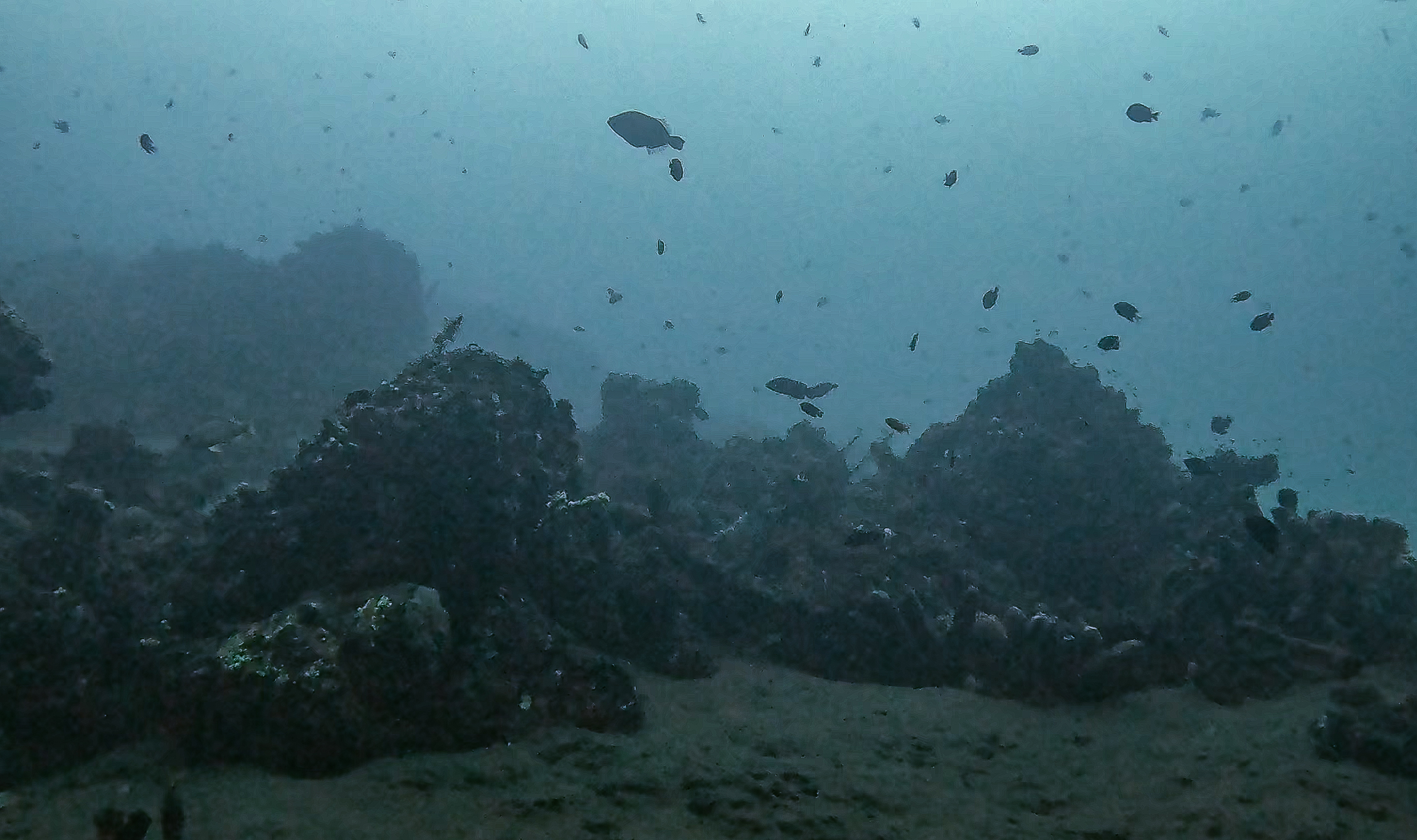 Dive site photo 3