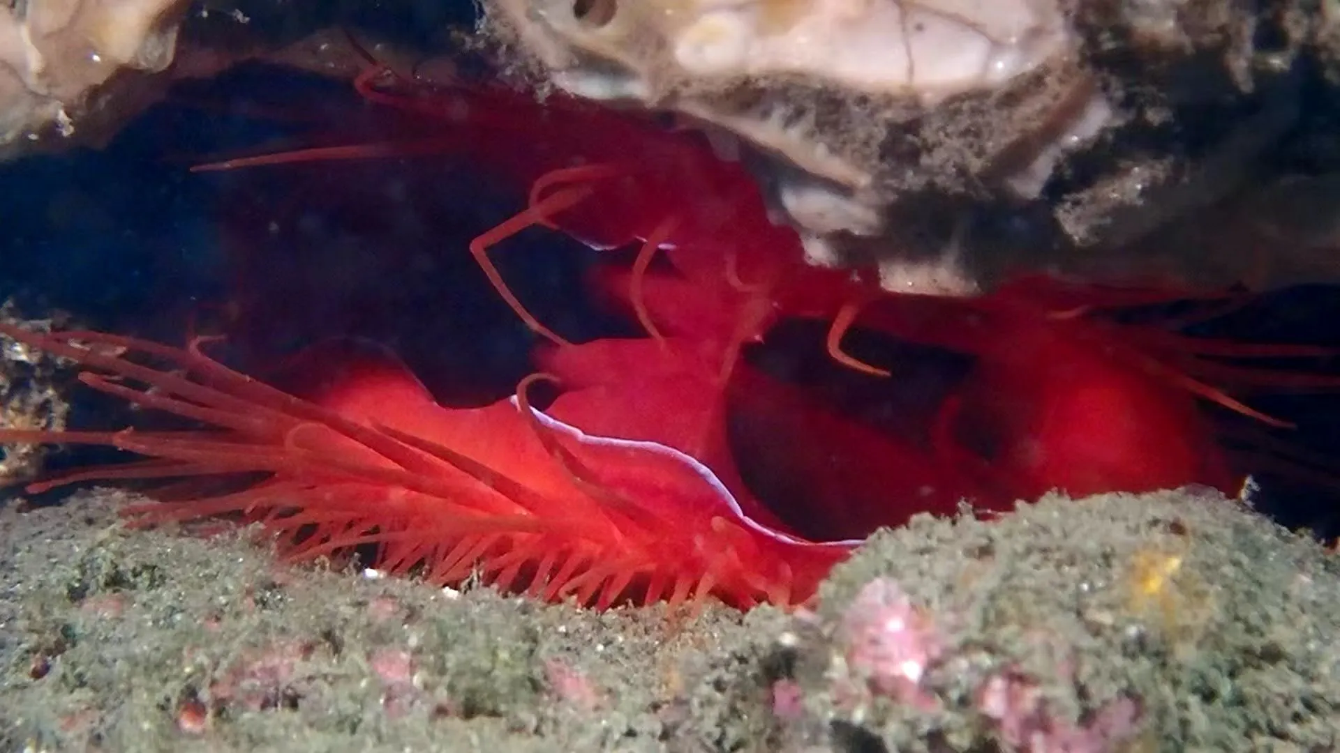Dive site photo 1