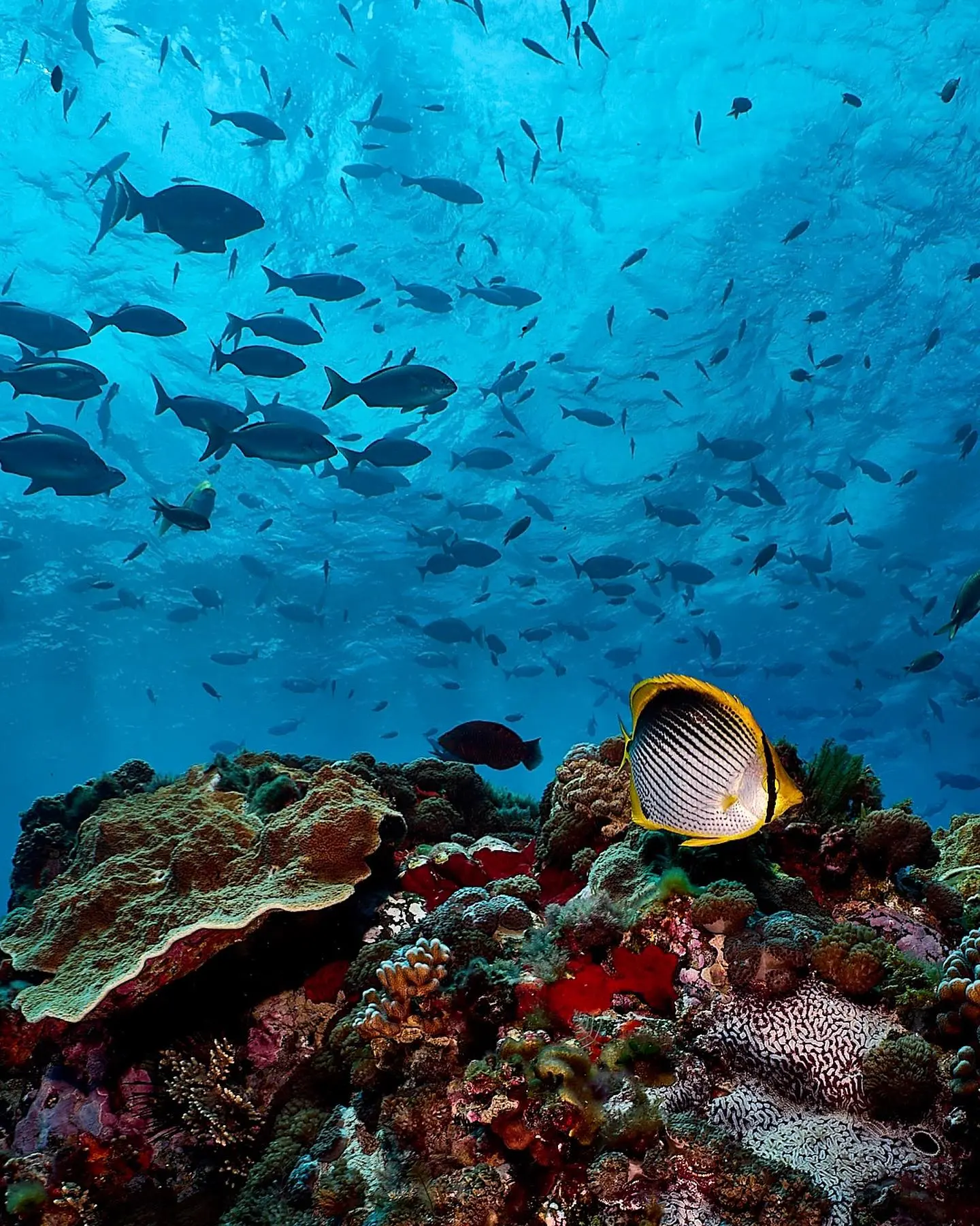 Dive site photo 4