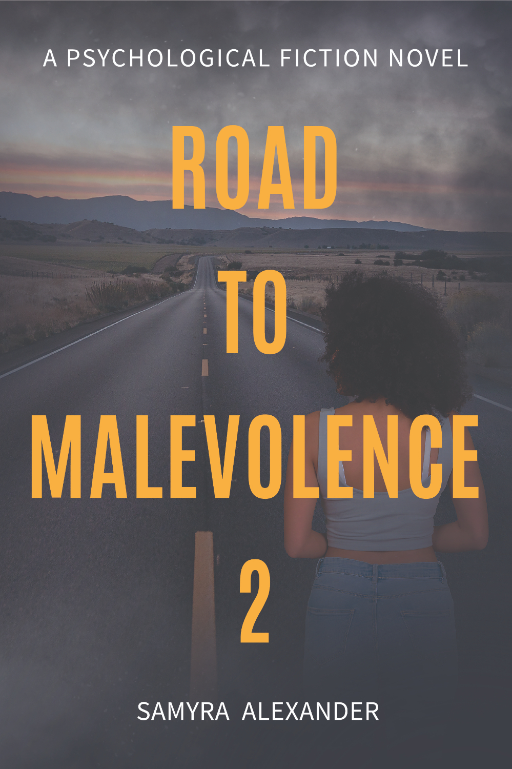 Book Cover for Road To Malevolence 2
