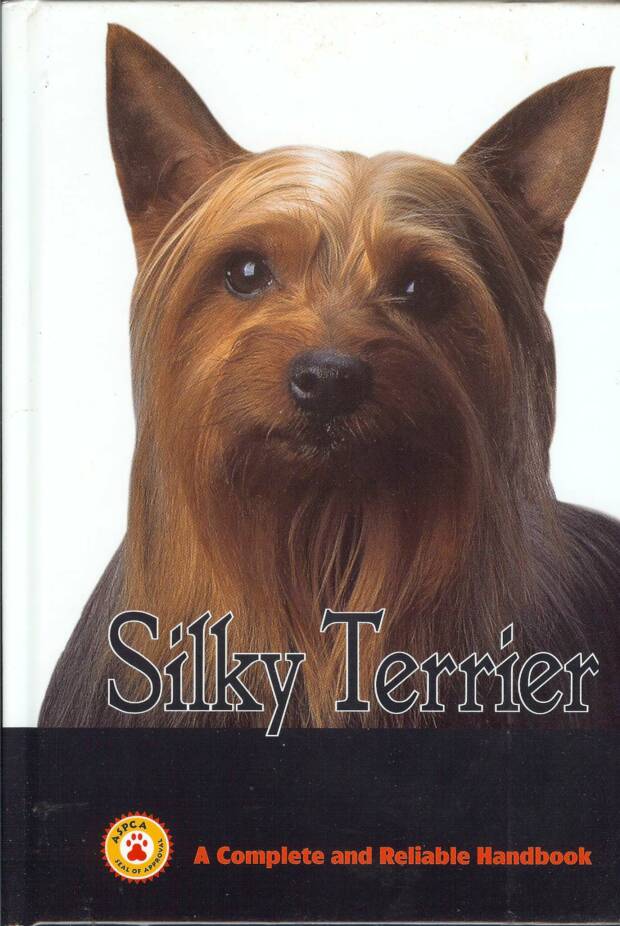 Photo of Silky Terrier
