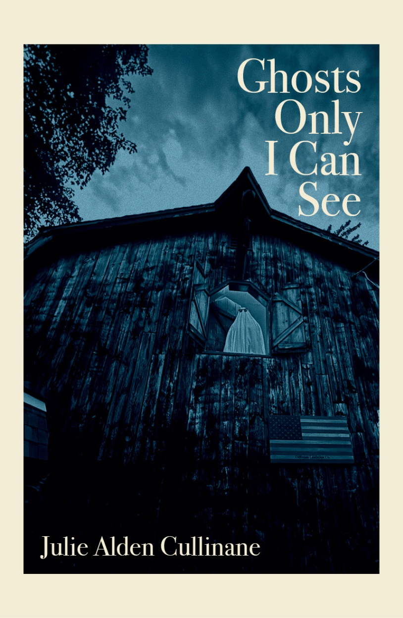 Ghosts Only I Can See book cover