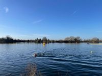 Photo 5 of Liquid Leisure Shepperton