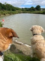 Photo 4 of Lower Swallow Lake 