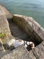 Photo 4 of Warrenpoint Seaview