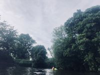 Photo 3 of Matlock Swoosh