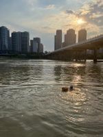 Photo 2 of 东方红桥头冬泳基地