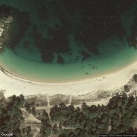 Playa Area Grande - Grove