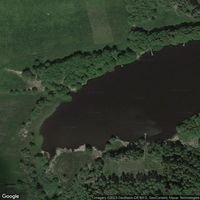 Vogt, wooden mesh pond