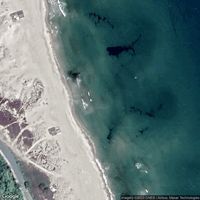 International Youth Center