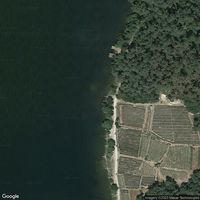 Rio Miño Castrelo De Miño