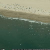 Playa Mazagon/Castilla