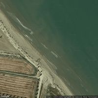 Playa De La Bassa D'Arena