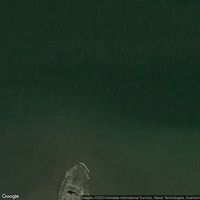 Boller Mole Swimmingbro