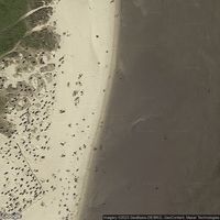 North Sea beach Schillig