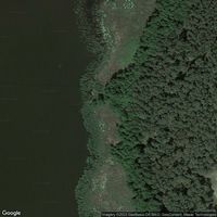 Schwielochsee, Niewisch