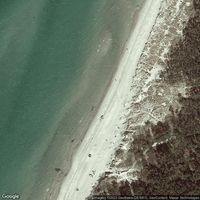 Baltic Sea, Born, Rehberge