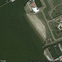 Duemmer See - Lembruch, Birkenallee