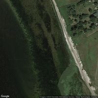 Navet, Halkær Bredning