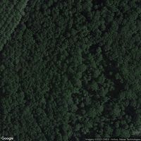 Lusignan - Camping (La Vonne)