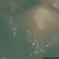 Plage Des Pins Du Cordouan