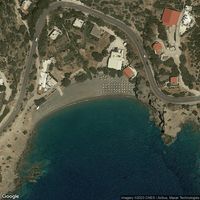 Achlia Schinokapsalon