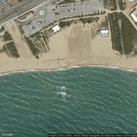 Playa De La Picòrdia