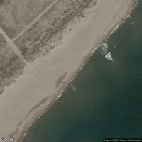 Mimosa-Les Montilles