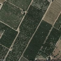 Playa Dels Pinets-Fondo De Bola