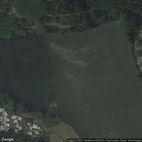 Nature outdoor pool Attersee