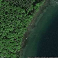 Tollensesee, bookstore