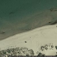 100 Meters Sv For Udløb Af Vesterbæk