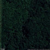 Bassin Bleu - Palmiste