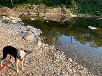 Photo 4 of River North Esk