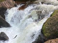 Photo 5 of River North Esk