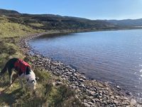 Photo 3 of Loch Boltachan