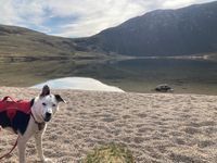Photo 2 of Coire-Fionn Lochan