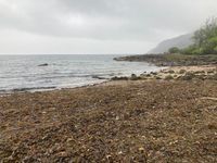 Photo 3 of Dhunan Beach in BrodickBay