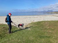 Photo 2 of Kilmory Beach