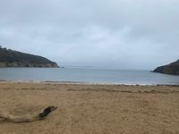 Photo 3 of Maenporth