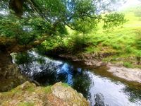 Photo 2 of Galleny Force