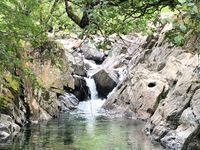 Photo 3 of Galleny Force