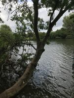 Photo 2 of Pangbourne